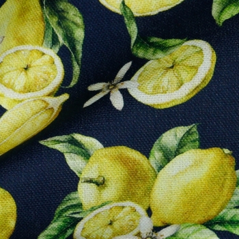 Lemon Navy - Canvas